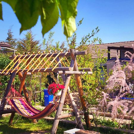 Hotel Cuibul De La Mare Corbu  Zewnętrze zdjęcie